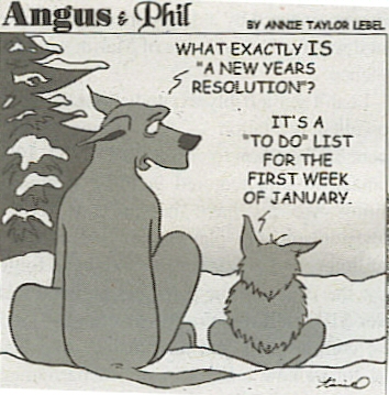 new year resolutions